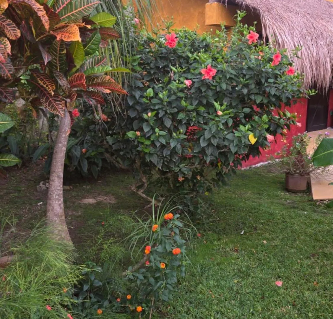 Casa Colonial Cozumel, Villa Mango