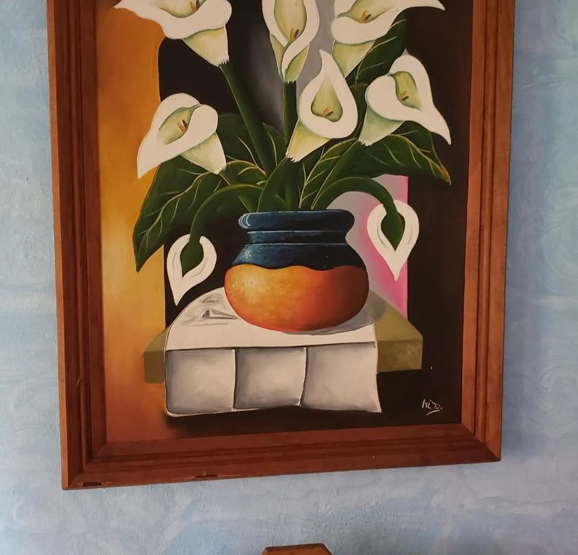 Casa Colonial Cozumel, Villa Mango Mexico