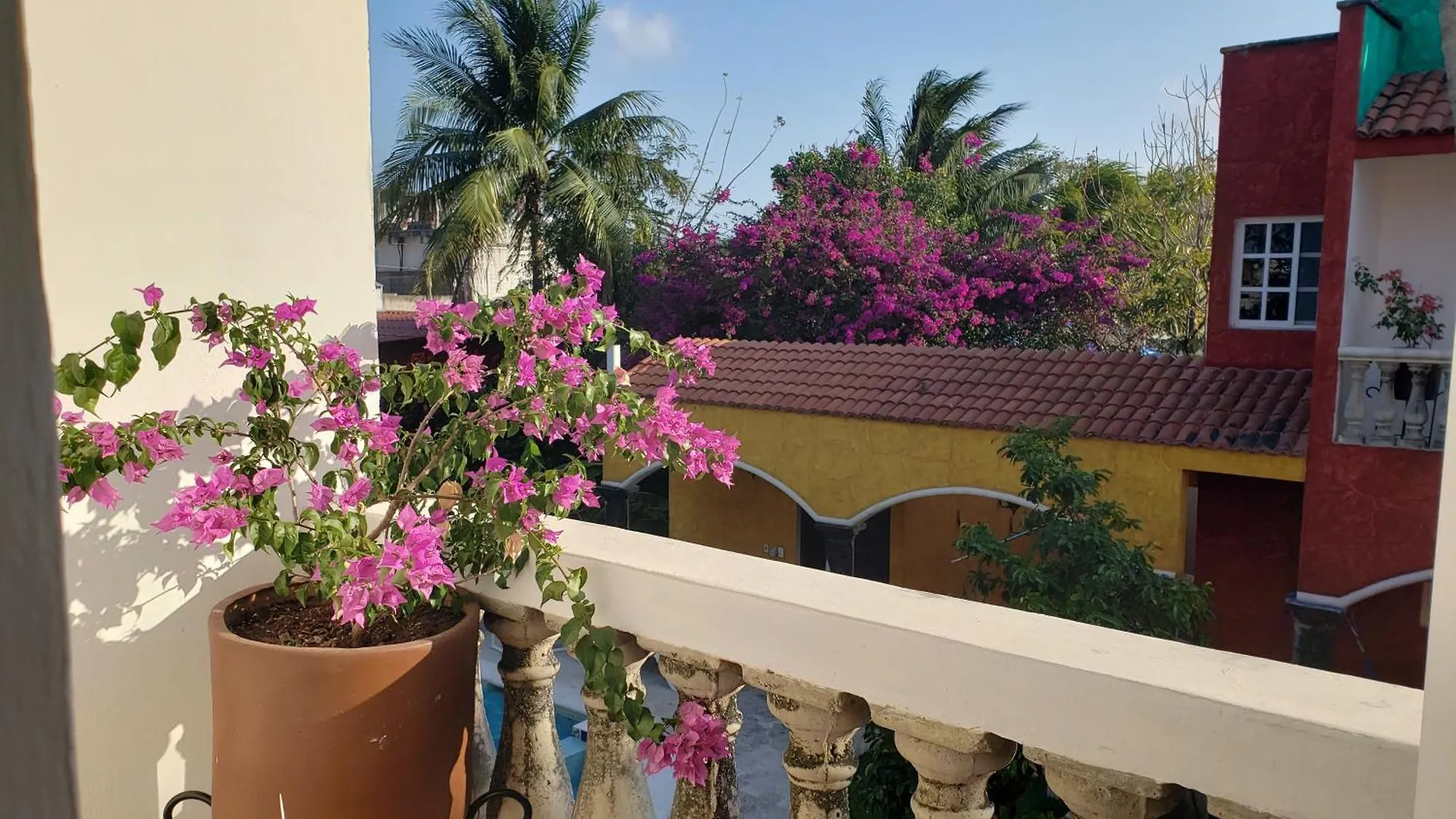 Casa Colonial Cozumel, Villa Mango Cozumel