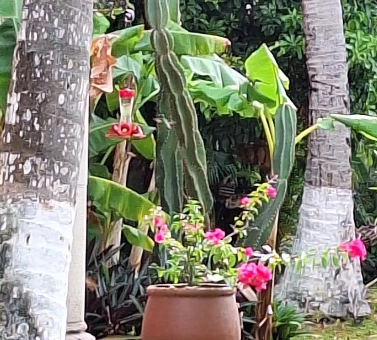 Casa Colonial Cozumel, Villa Mango